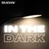 Soundwaiv - In the Dark - Single